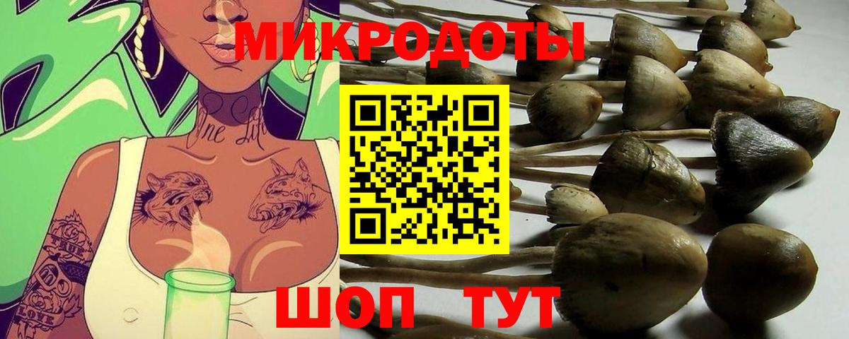 Людиново  Галлюциногенные грибы Cubensis  Галлюциногенные грибы мухоморы  Вход с VPN 